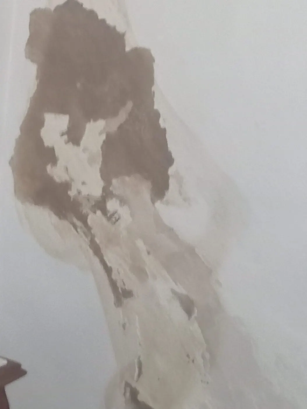 Pared con humedad antes de reparación